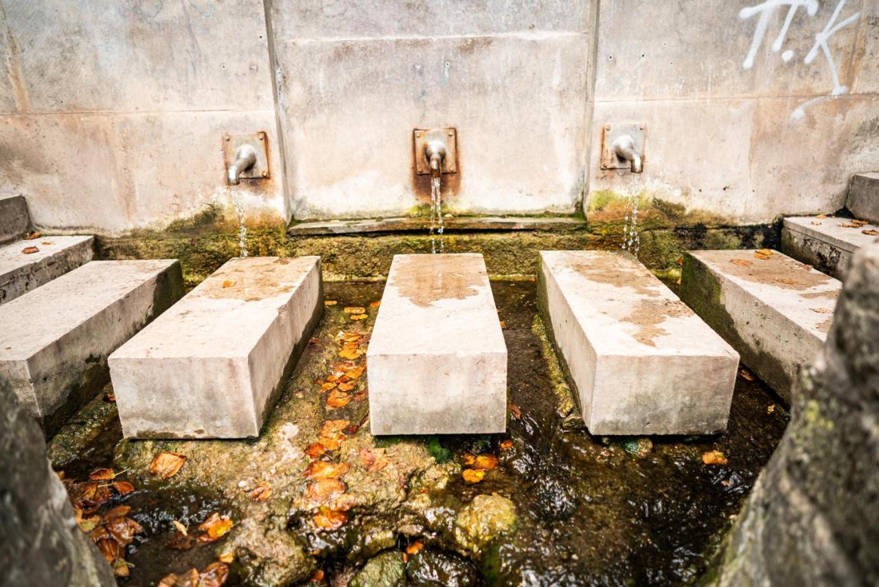 Dreibrunnen Gastehaus Im Luisenpark Otel Erfurt Dış mekan fotoğraf