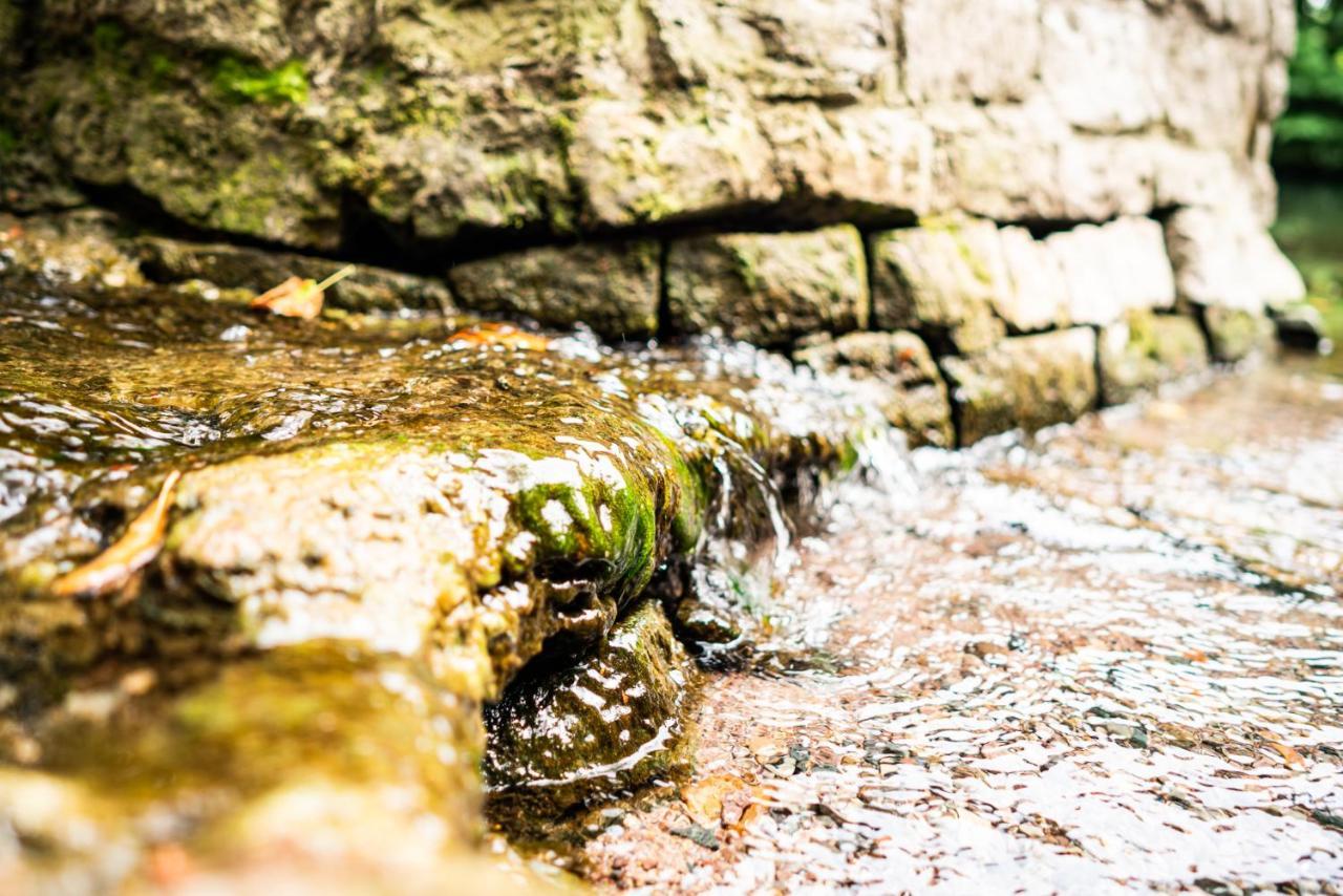 Dreibrunnen Gastehaus Im Luisenpark Otel Erfurt Dış mekan fotoğraf